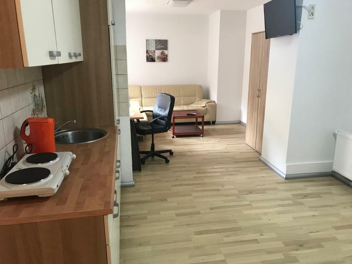 Appartment מיטוויידה מראה חיצוני תמונה
