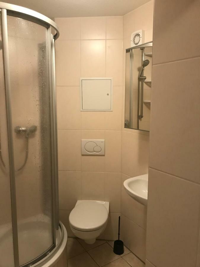 Appartment מיטוויידה מראה חיצוני תמונה