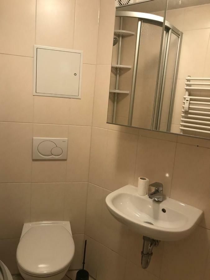 Appartment מיטוויידה מראה חיצוני תמונה
